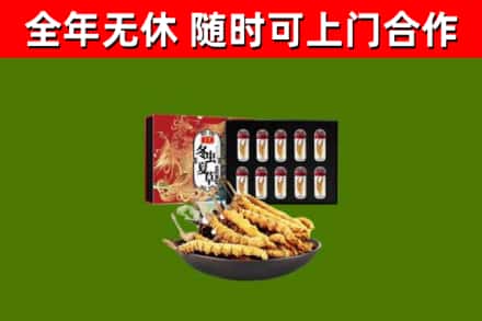 灵台县回收冬虫夏草价格
