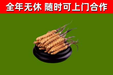 灵台县烟酒回收冬虫夏草.jpg